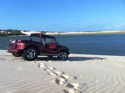 Selvagem - Planeta Buggy