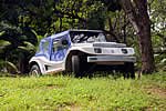 Planeta Buggy - Selvagem