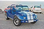 Planeta Buggy - Selvagem
