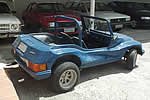 Buggy Polauto