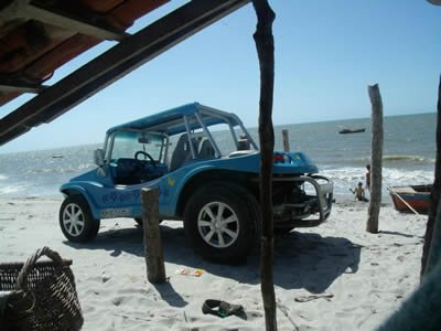 Buggy Cauype